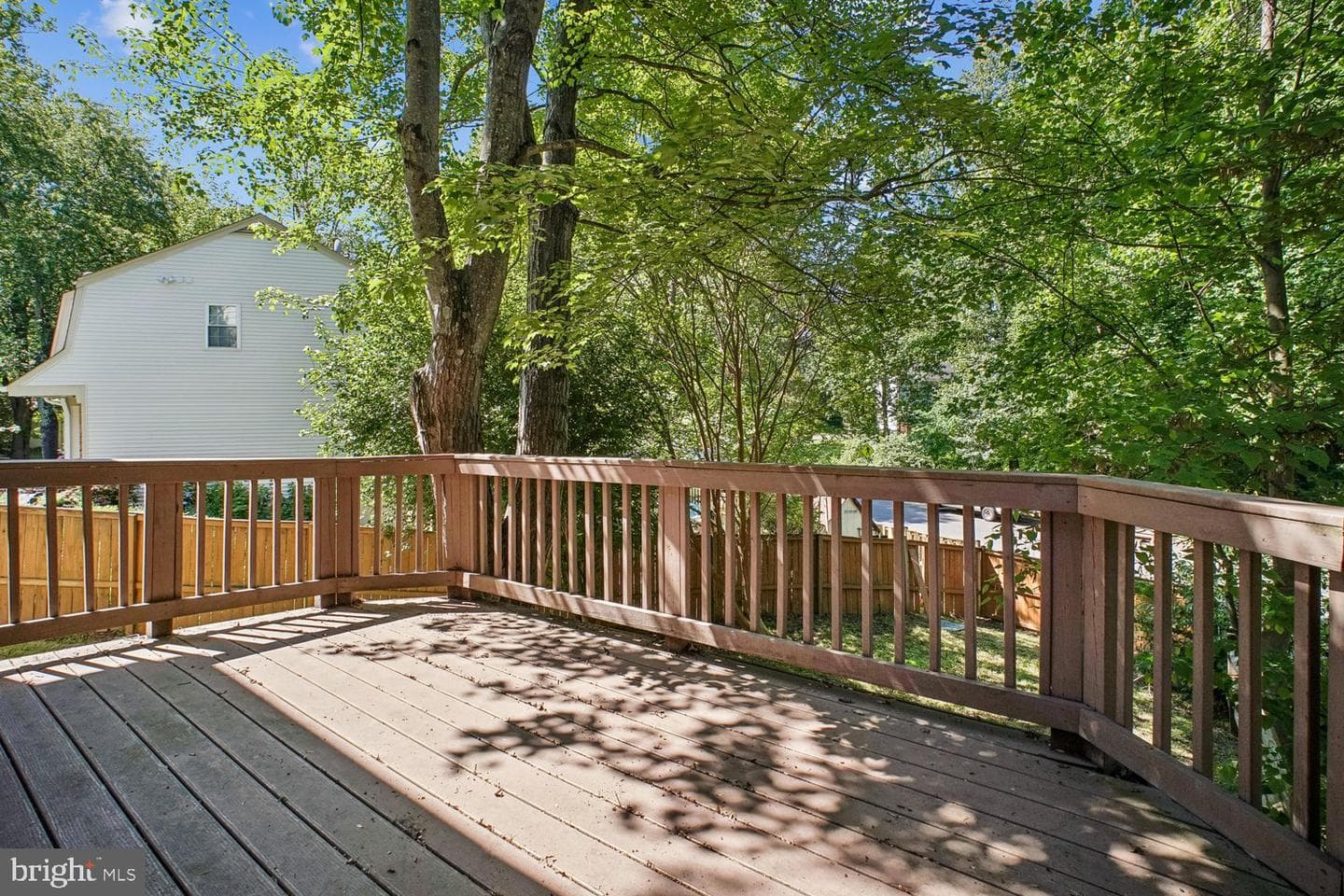 10051 Downeys Wood Court photo 30