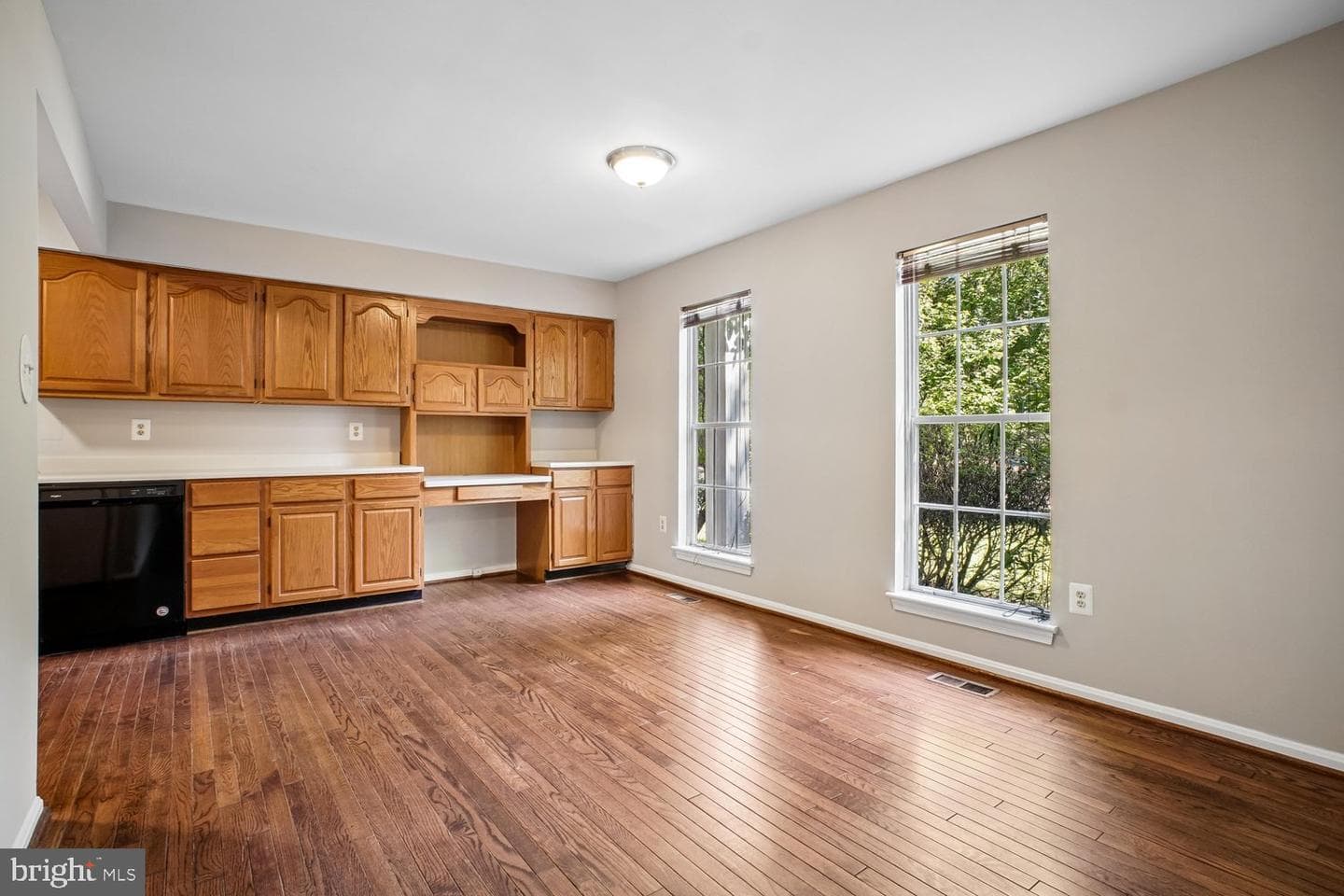 10051 Downeys Wood Court photo 4