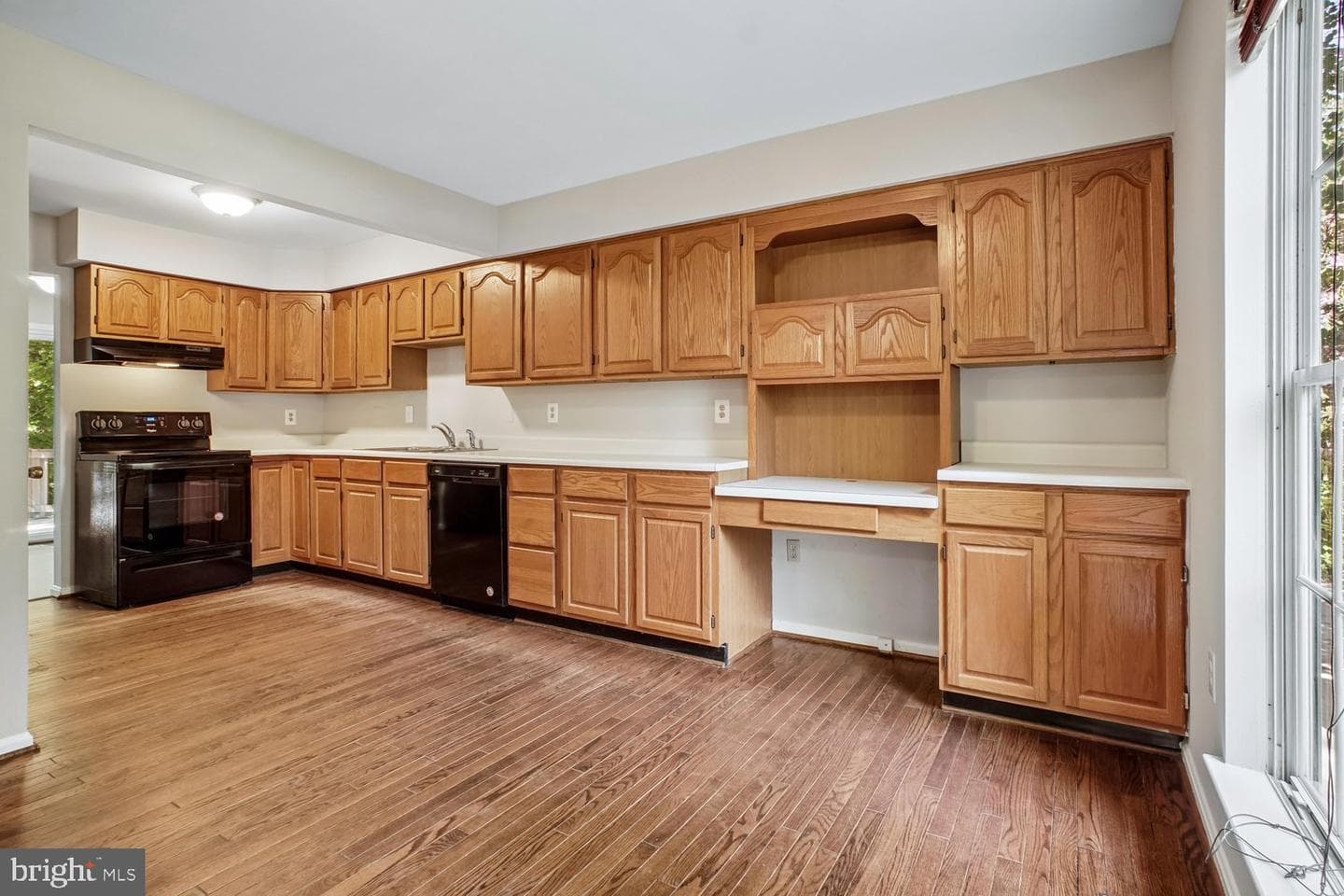 10051 Downeys Wood Court photo 5