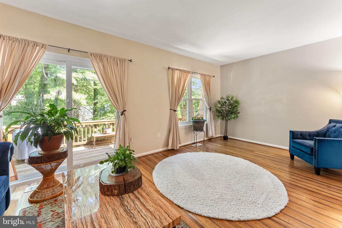 7027 Solomon Seal Court photo 12