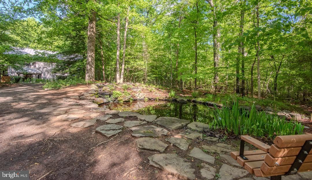 2302 Short Ridge Road photo 59