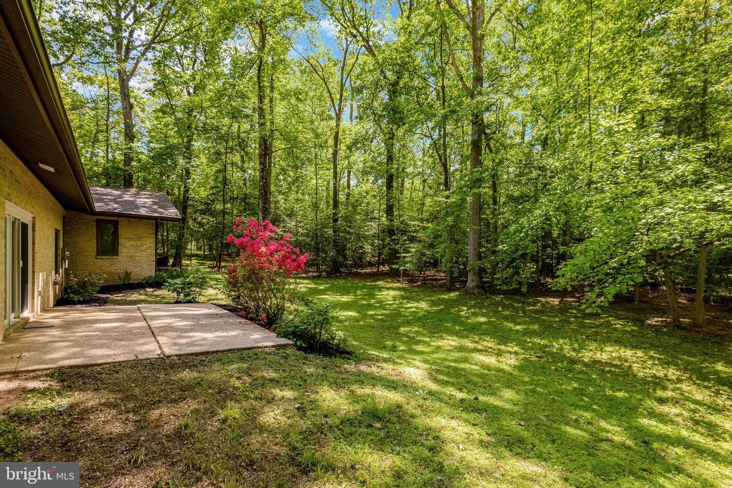 12009 Canter Lane photo 47