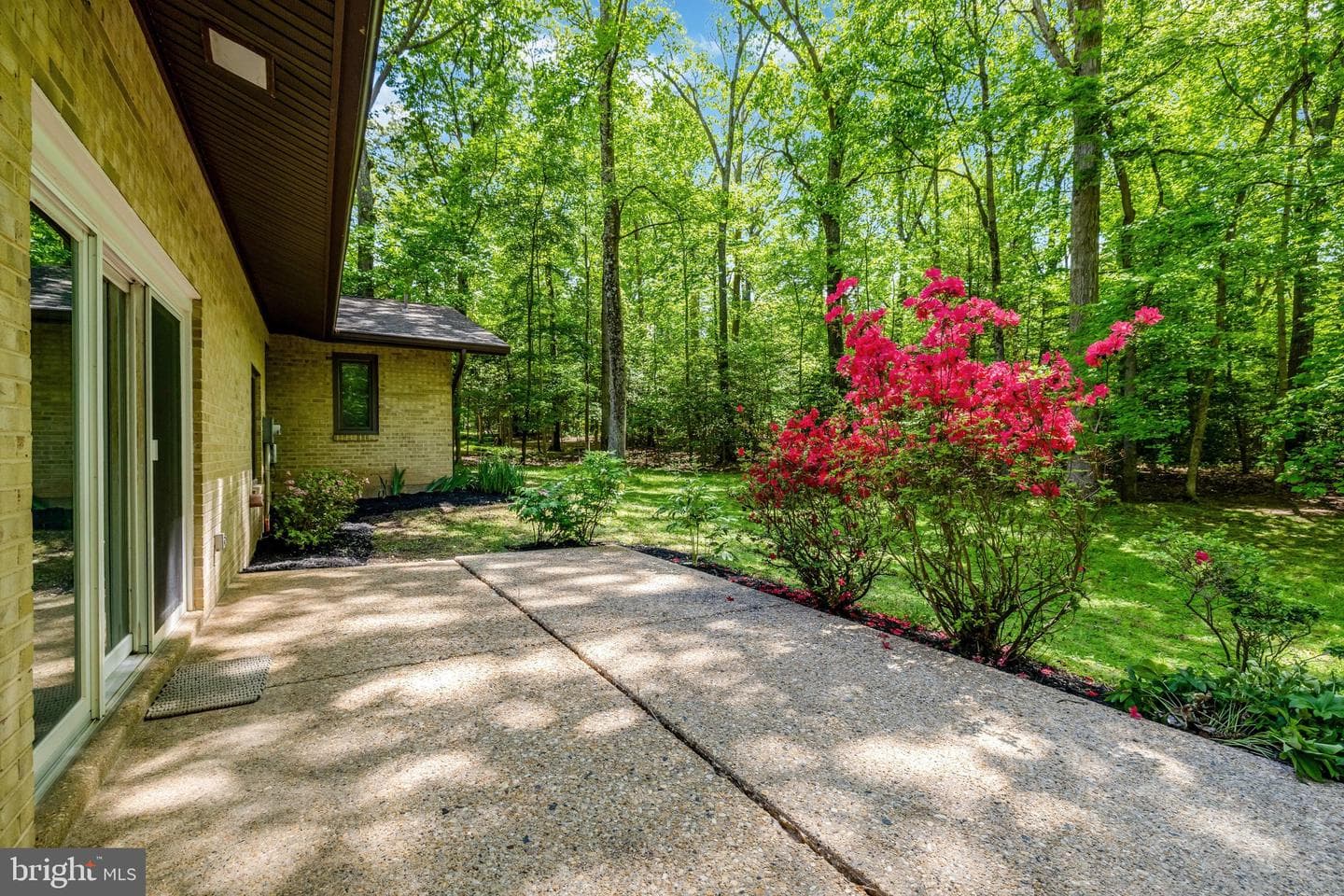 12009 Canter Lane photo 48