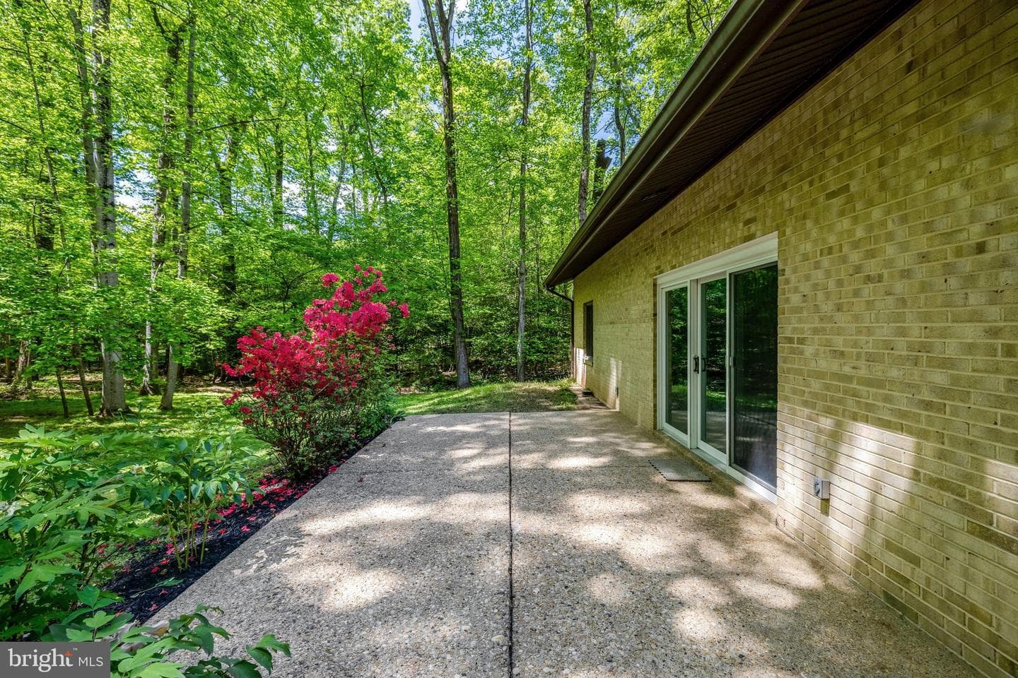 12009 Canter Lane photo 49