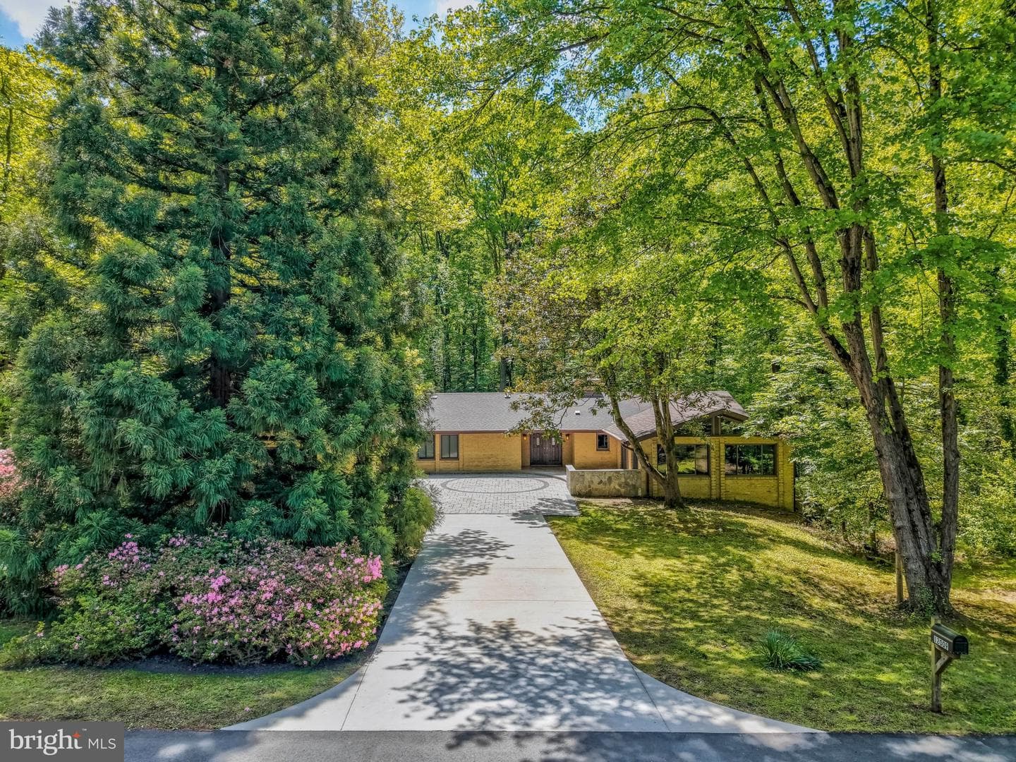 12009 Canter Lane photo 53