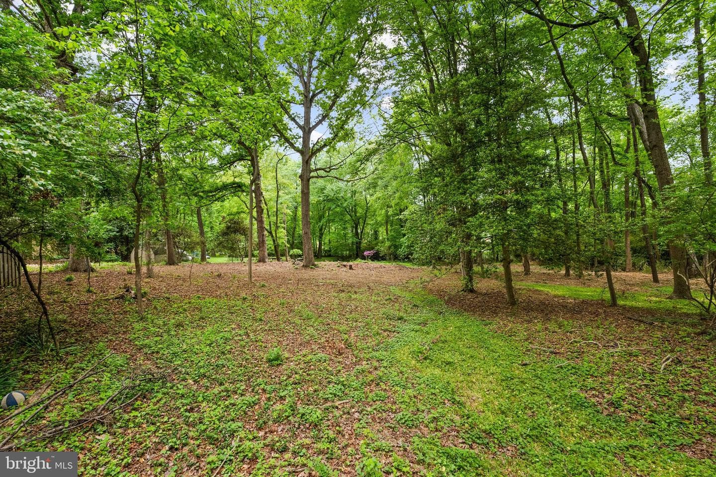 1914 Birch Road photo 5