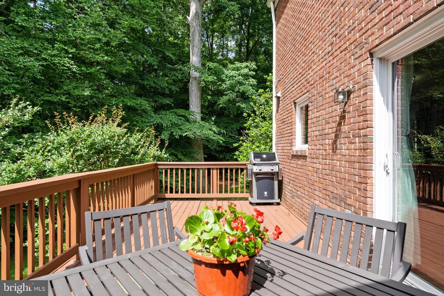 8943 Park Forest Dr photo 38
