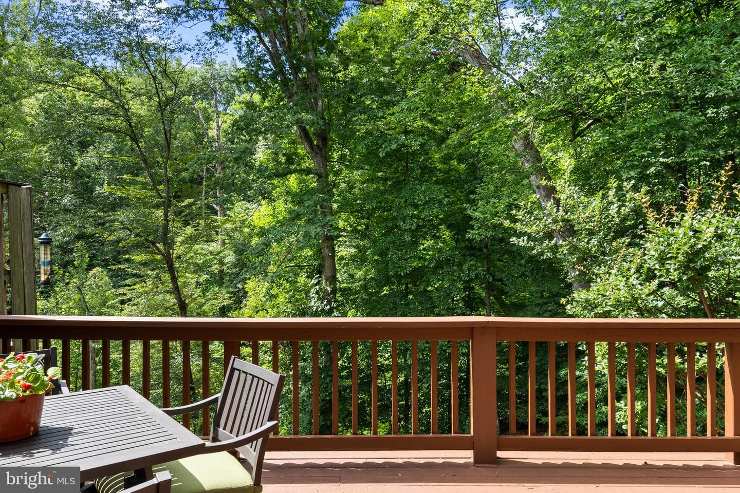 8943 Park Forest Dr photo 39