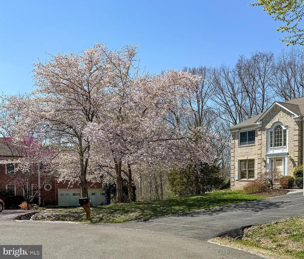1210 Cameo Court photo 61
