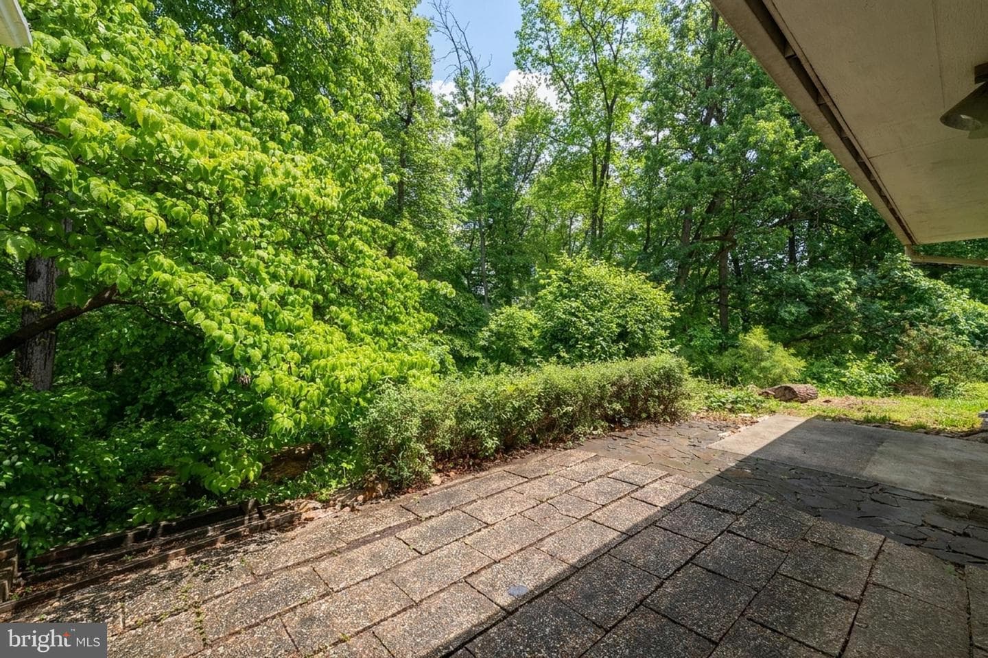 5533 Belfast Place photo 33