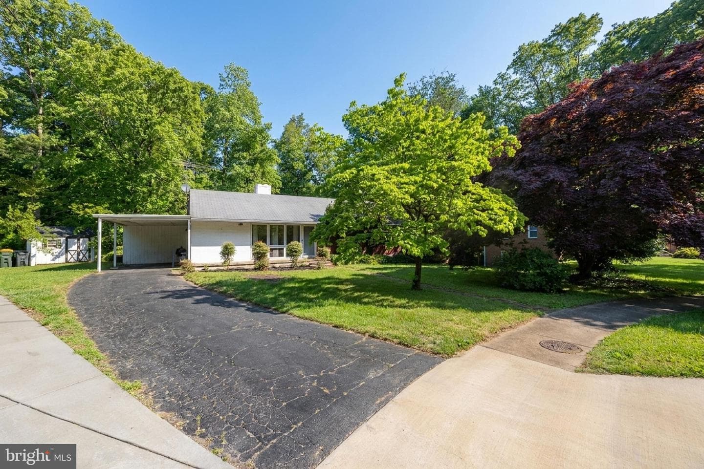 5533 Belfast Place photo 37