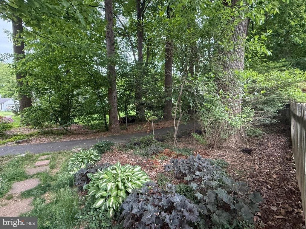 10012 Wood Sorrels Lane photo 15