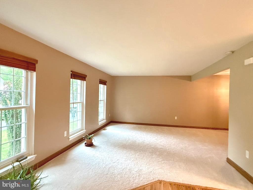 10012 Wood Sorrels Lane photo 3