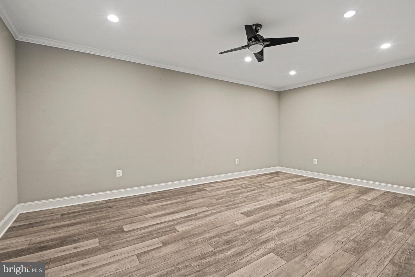 248 Springvale Road photo 62