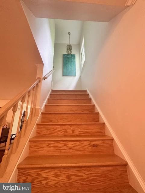 7929 Valleyfield Drive photo 15