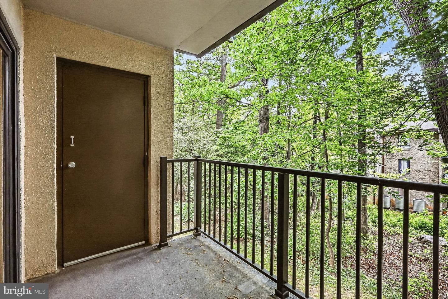 2247 Castle Rock Square #12c photo 20