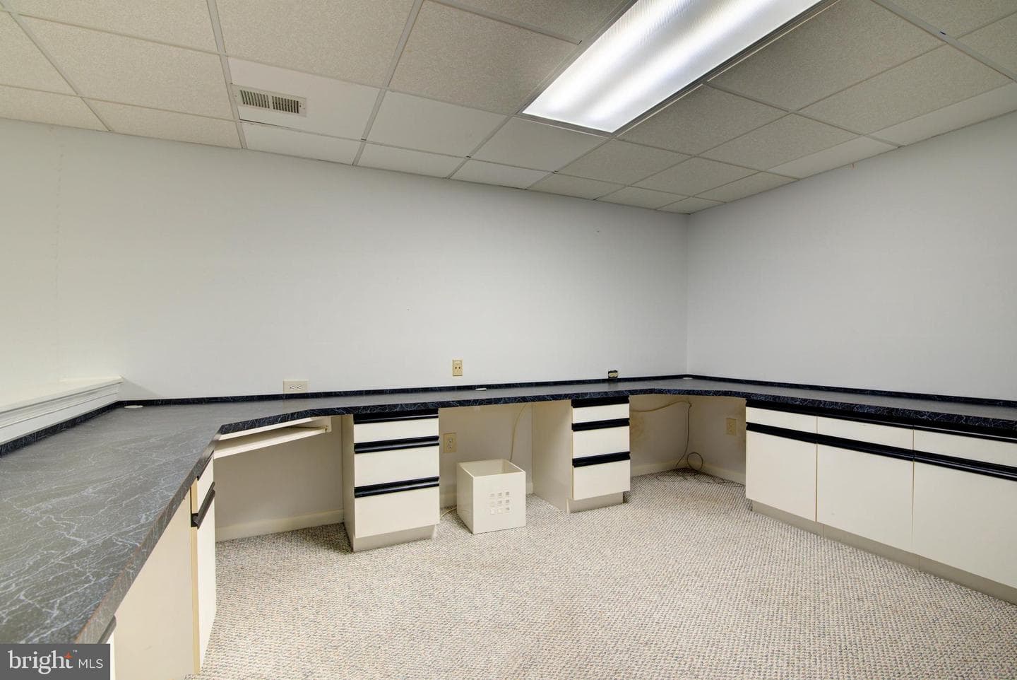 12719 Hitchcock Court photo 44