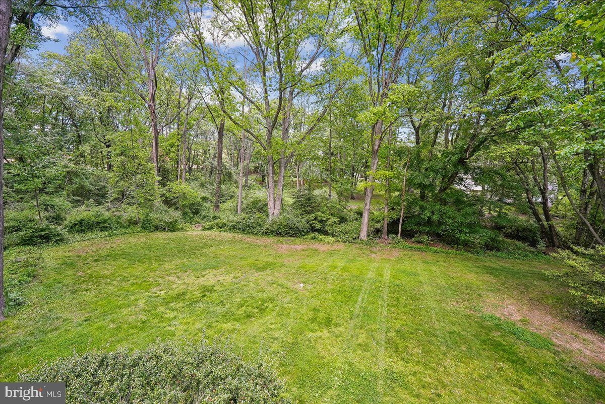 10806 Oldfield Drive photo 37