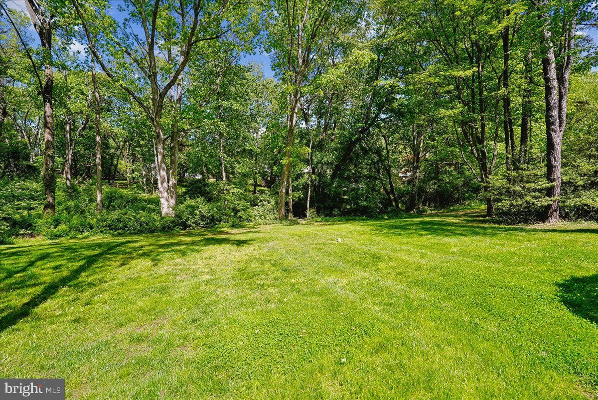10806 Oldfield Drive photo 38