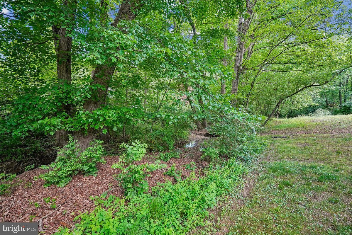 10806 Oldfield Drive photo 40