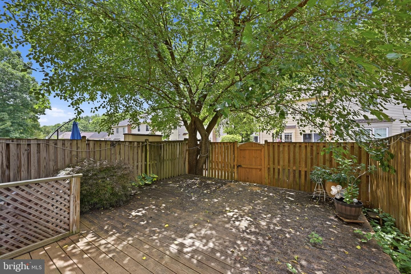 9937 Whitewater Drive photo 32