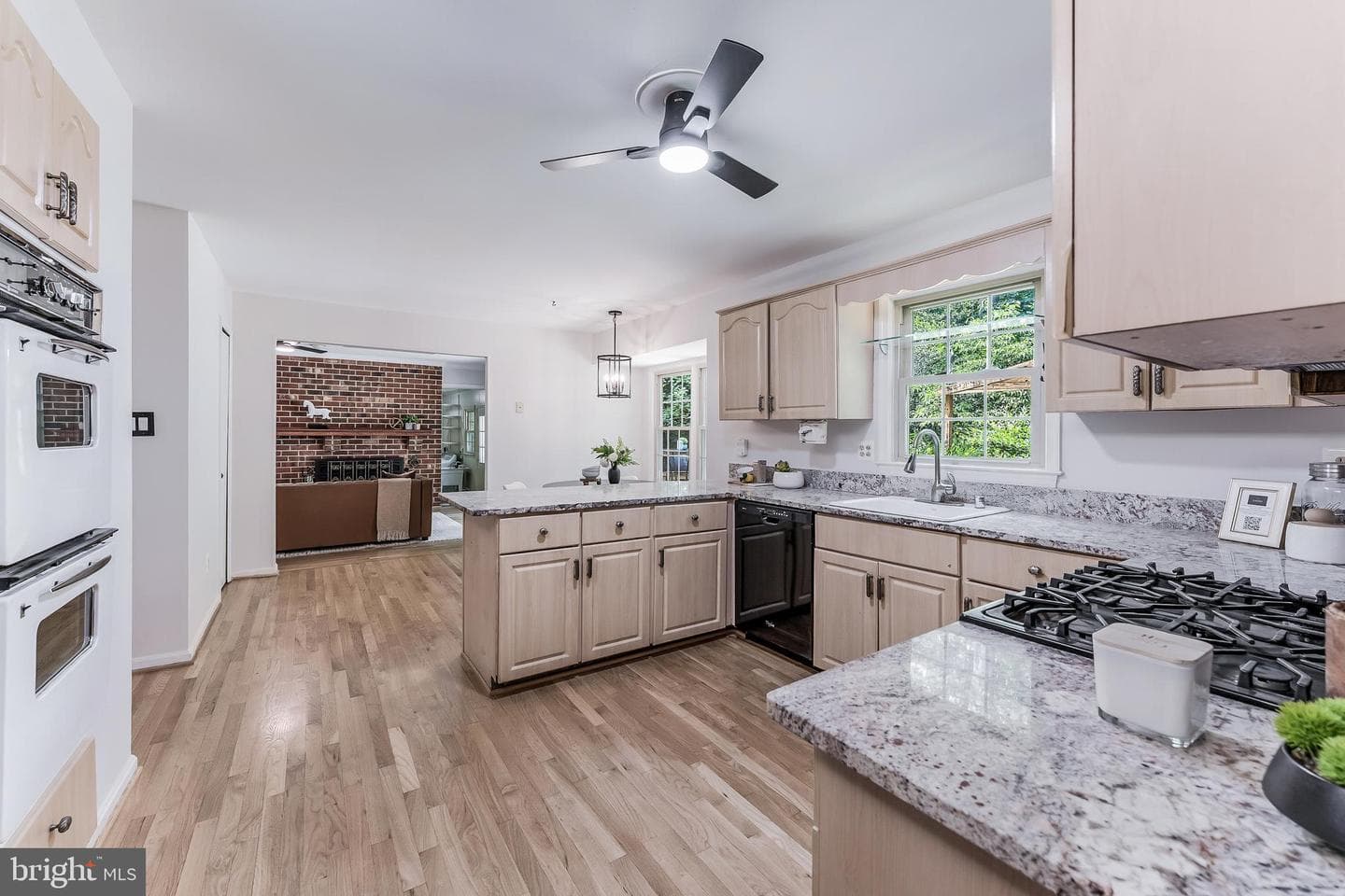 11488 Bingham Terrace photo 18
