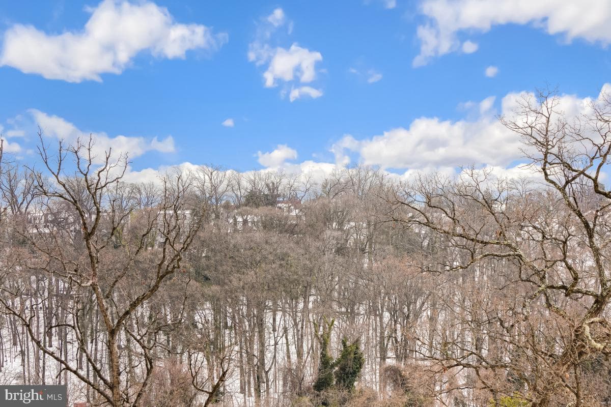 5904 Mount Eagle Drive #516 photo 5
