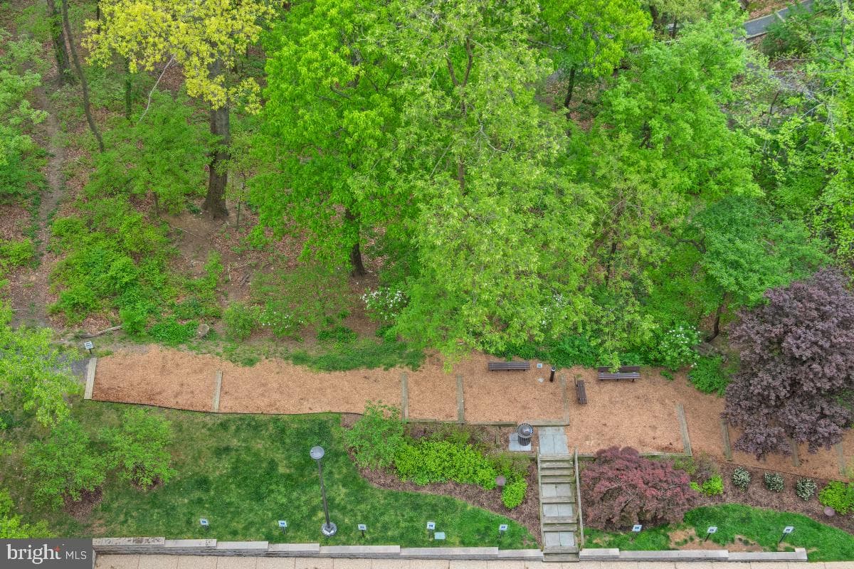 5902 Mount Eagle Drive #1402 photo 11