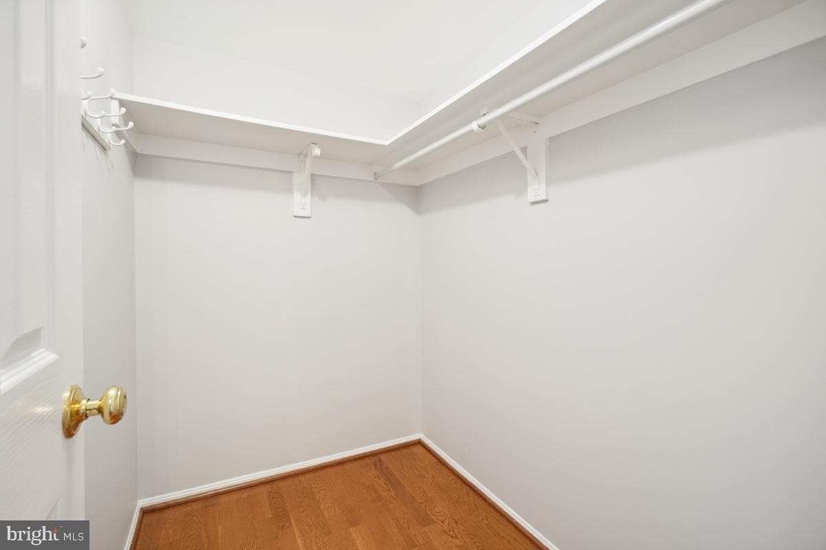 5902 Mount Eagle Drive #1402 photo 26