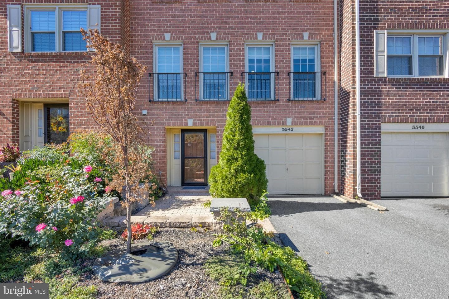 3542 S George Mason Drive #25 photo 3