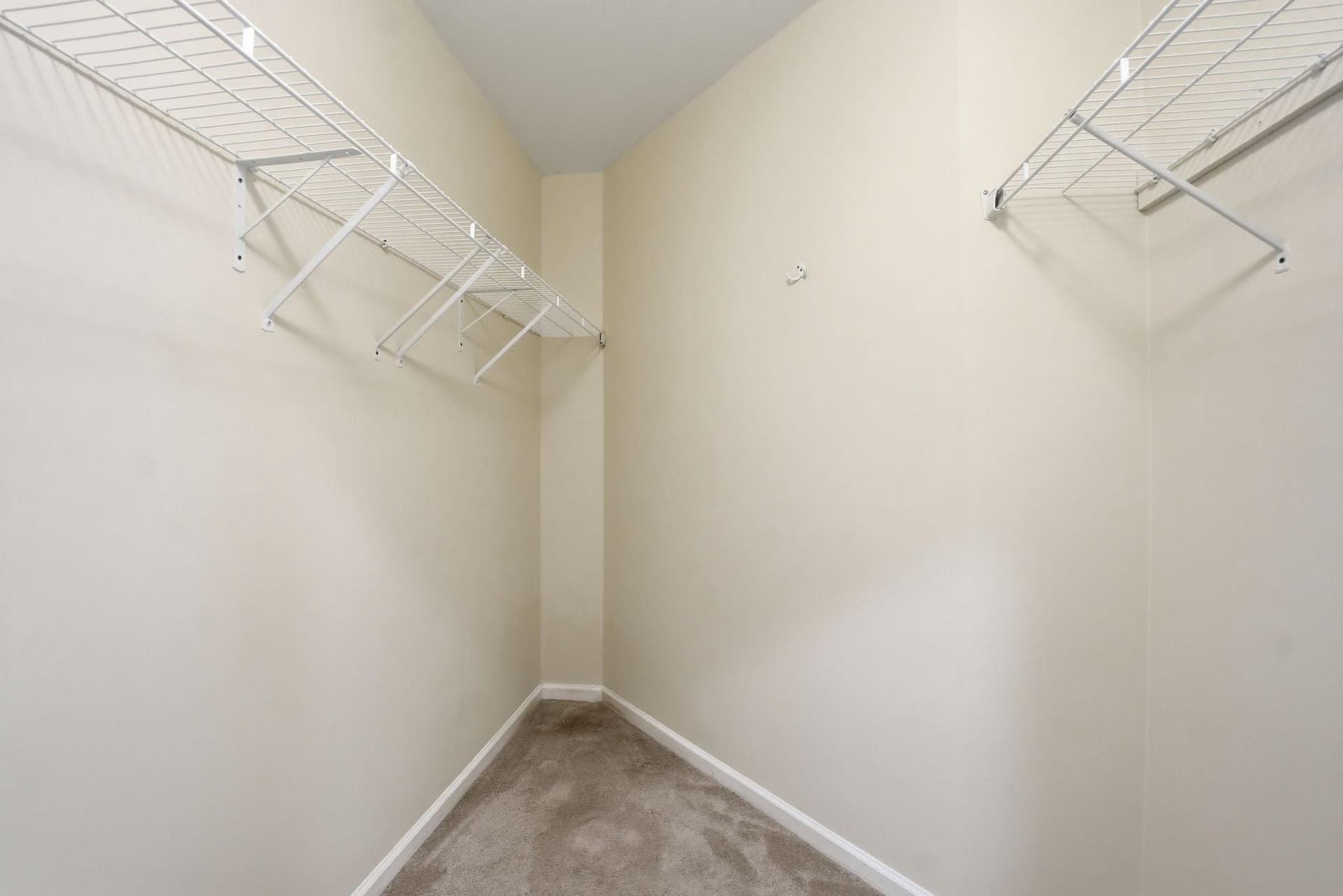 10206 Palmer Glen Court photo 39