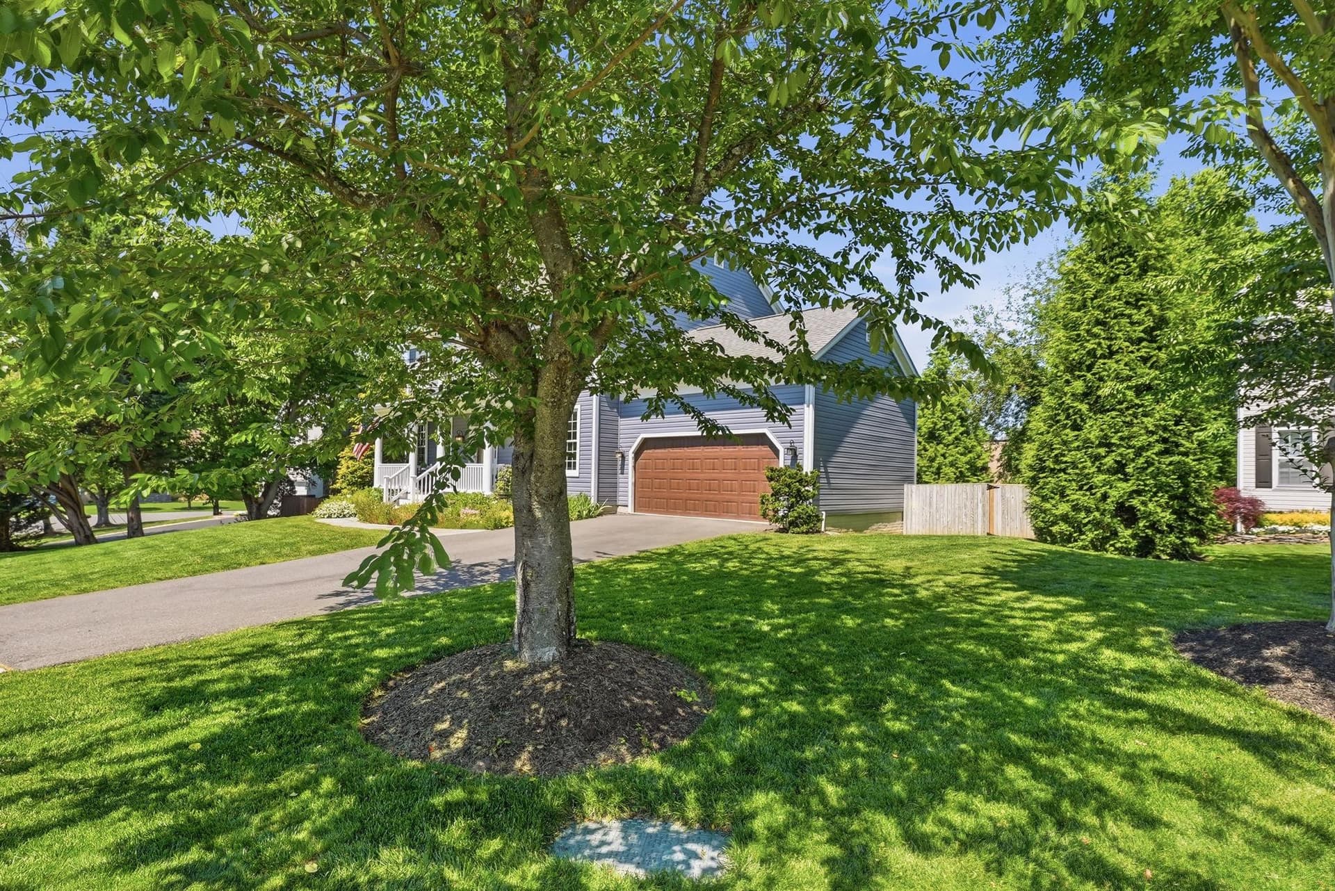10206 Palmer Glen Court photo 6