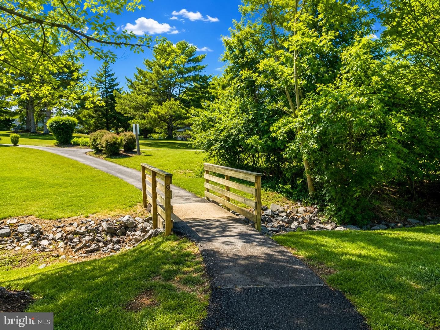 13209 Ashvale Drive photo 51