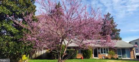 7714 Weber Street photo 59