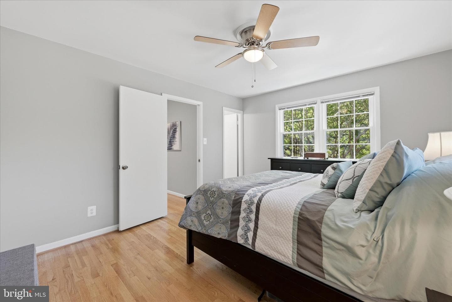 312 Broadleaf photo 19