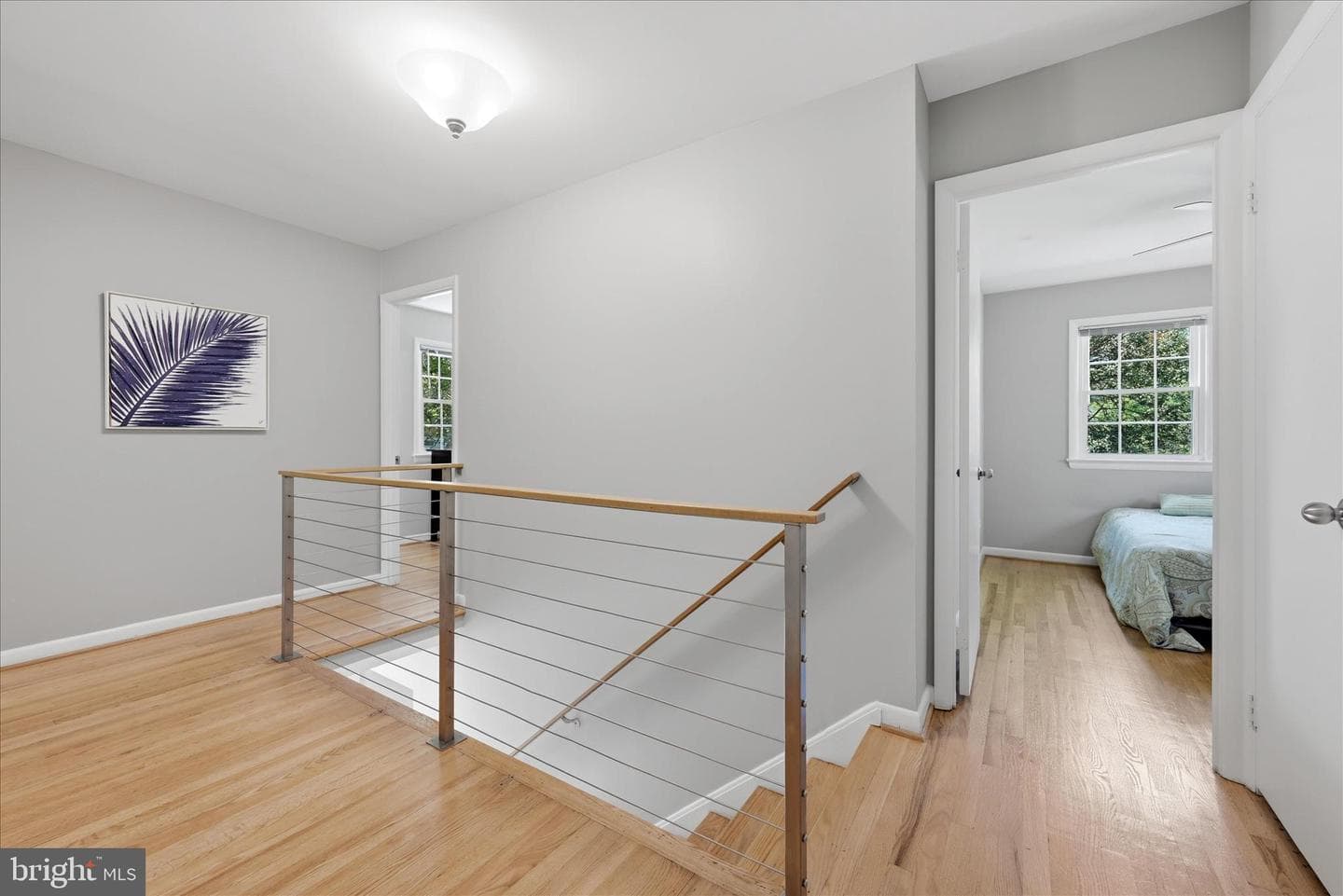 312 Broadleaf photo 21