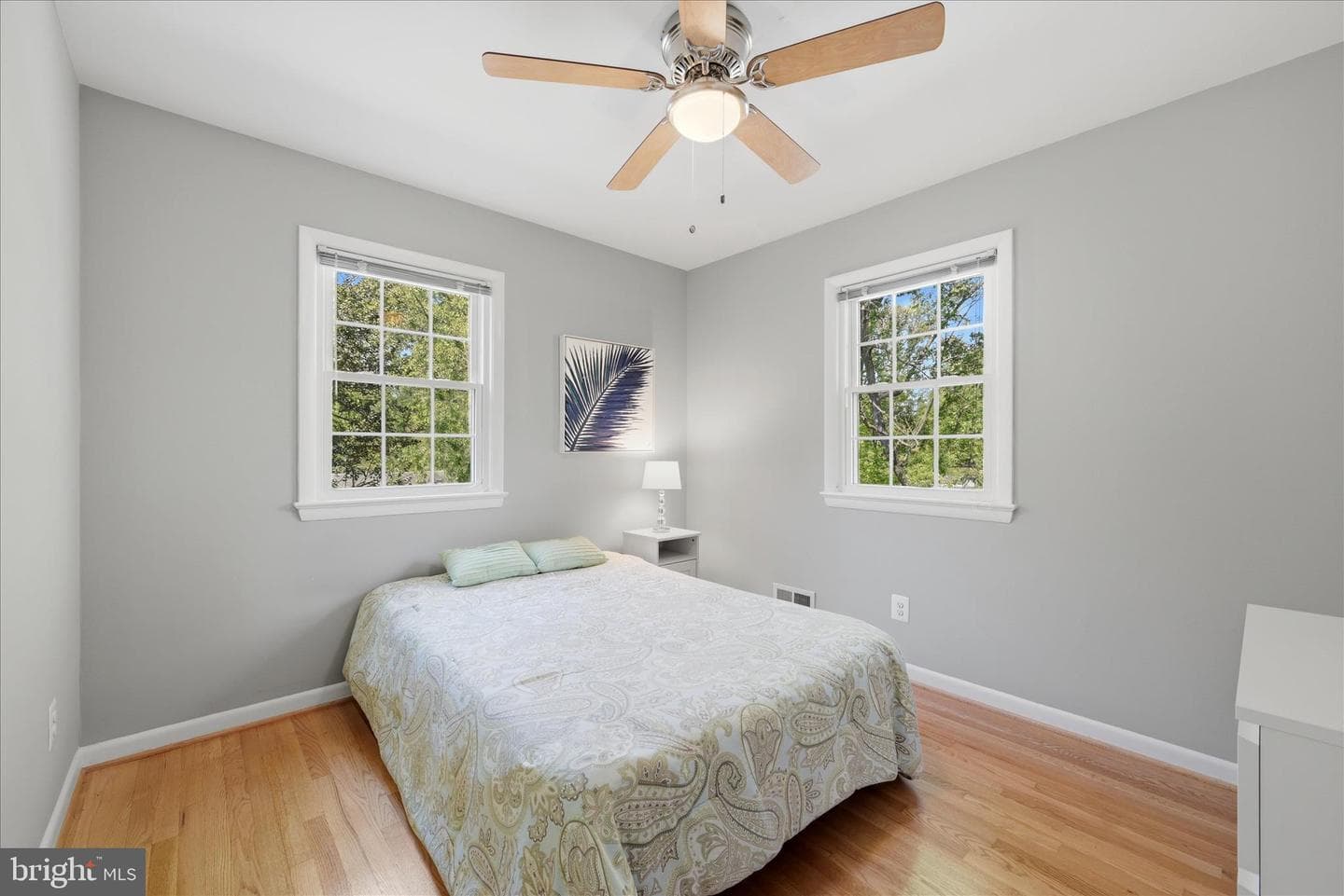 312 Broadleaf photo 23