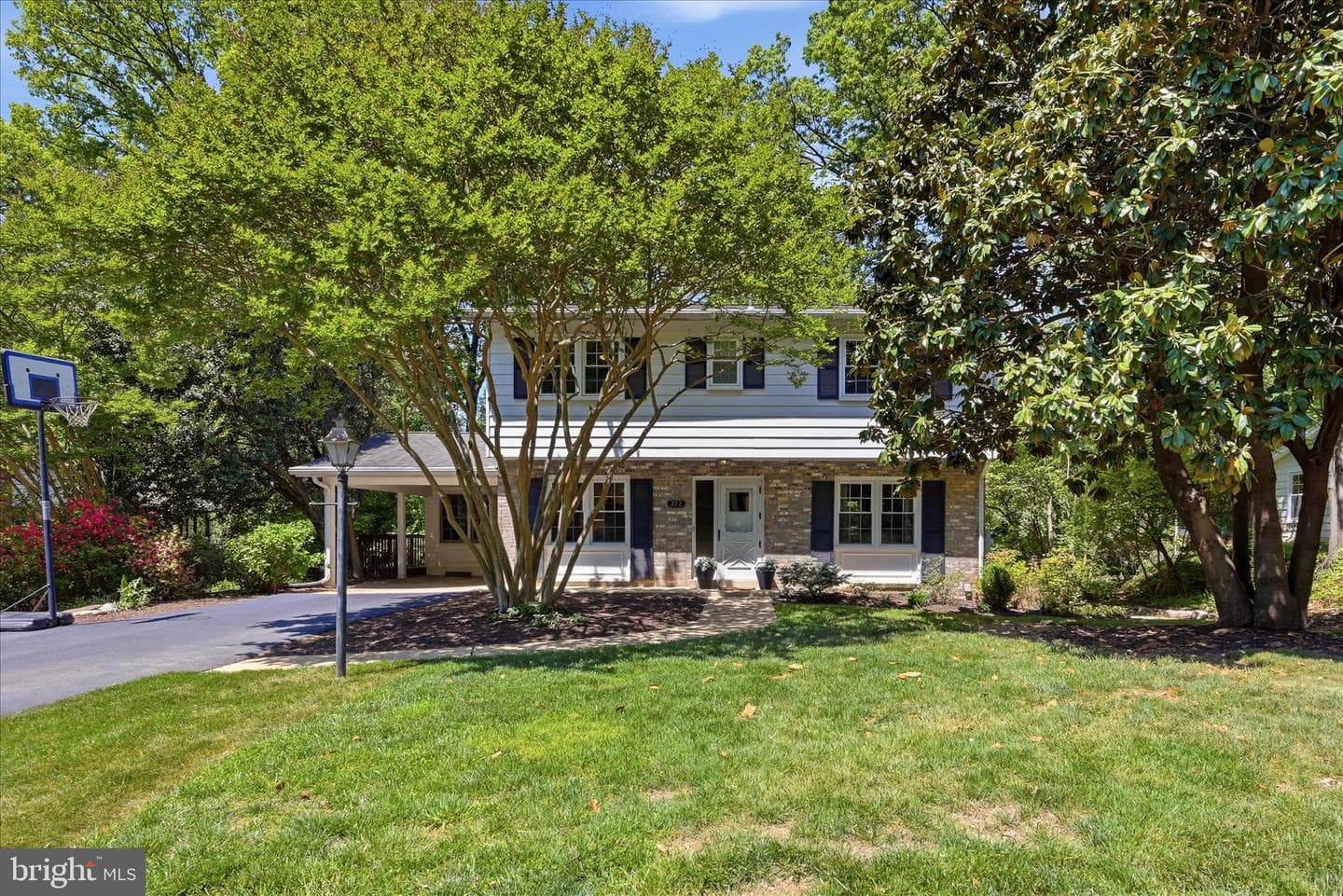 312 Broadleaf photo 41