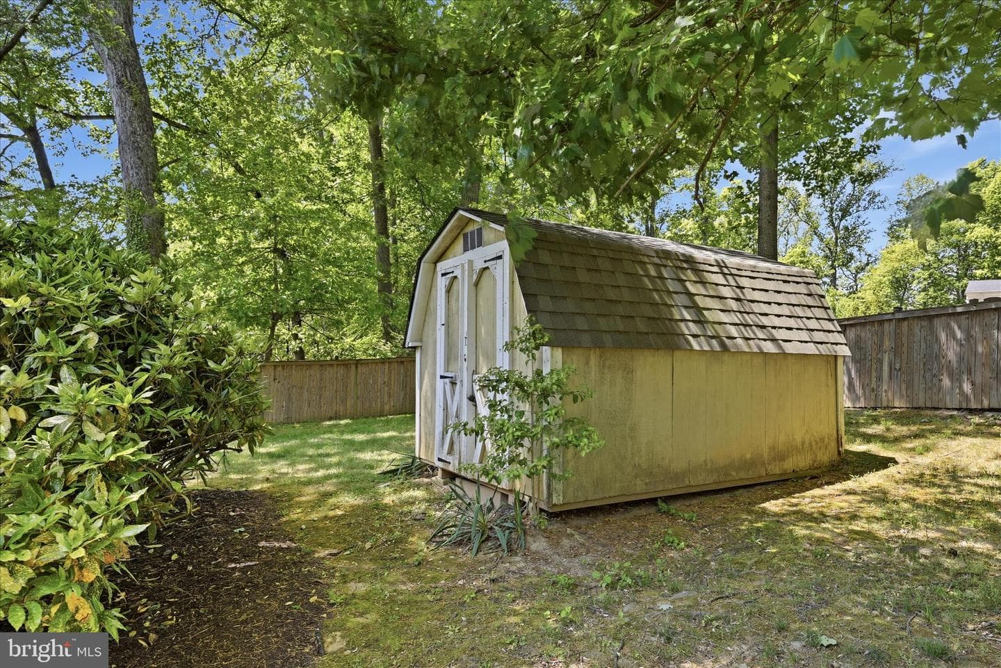 312 Broadleaf photo 44