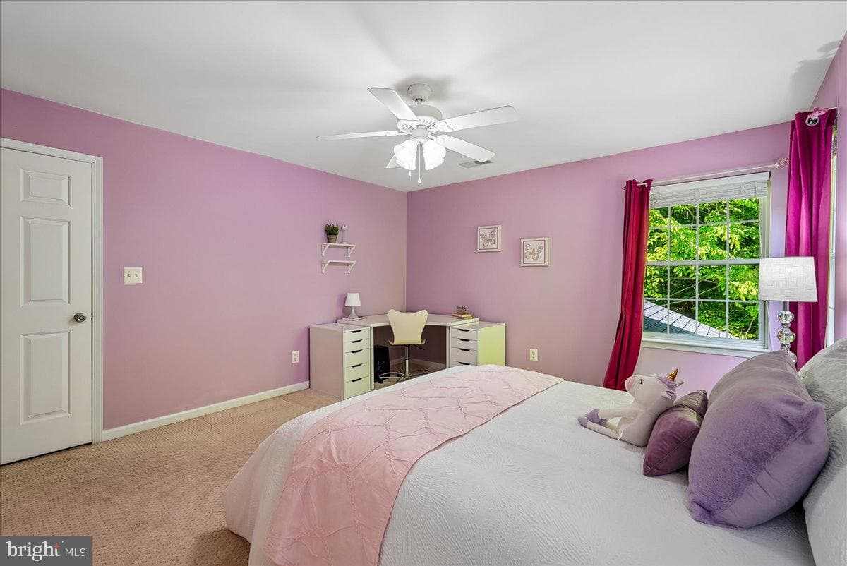 13908 Balmoral Terrace photo 46