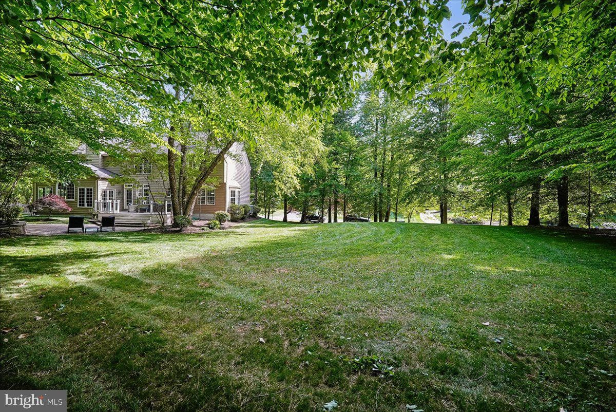 13908 Balmoral Terrace photo 69