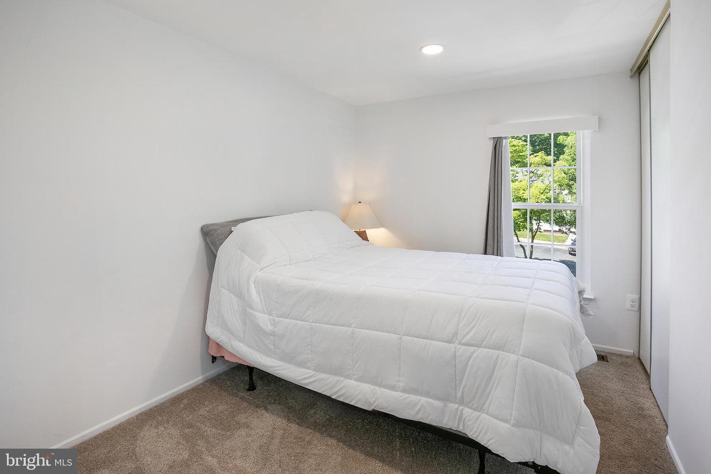 10103 Sassafras Woods Court photo 17