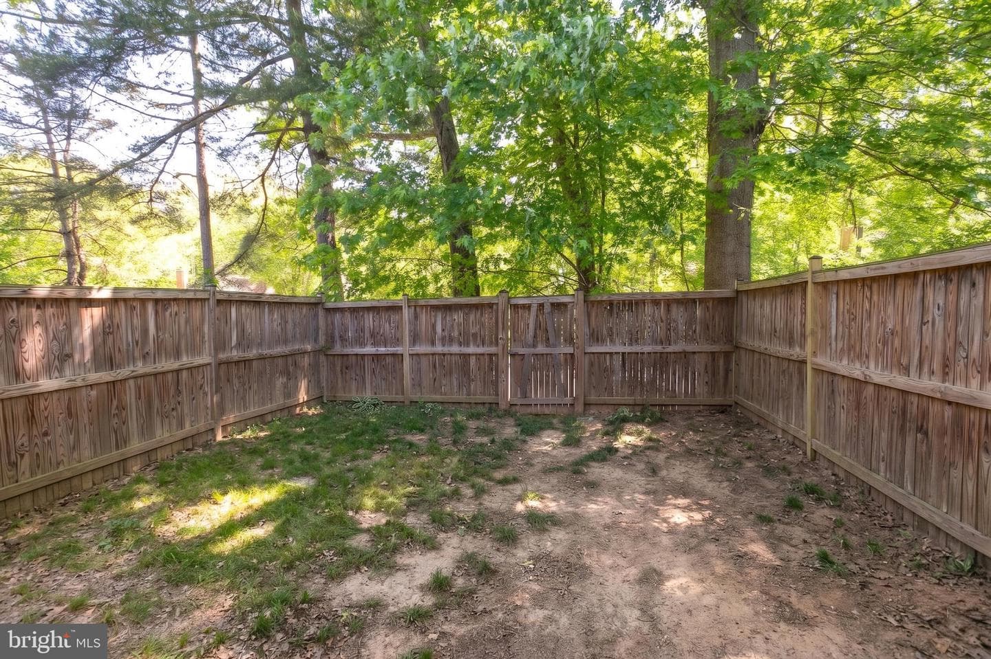 10103 Sassafras Woods Court photo 26
