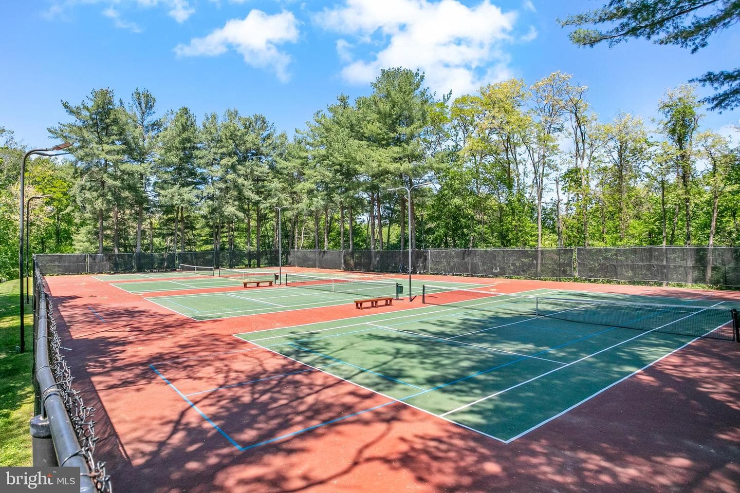 10103 Sassafras Woods Court photo 34