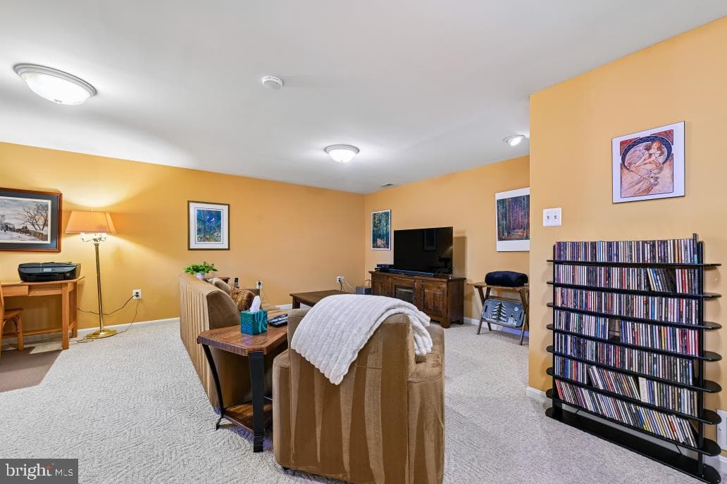 10924 Adare Drive photo 43