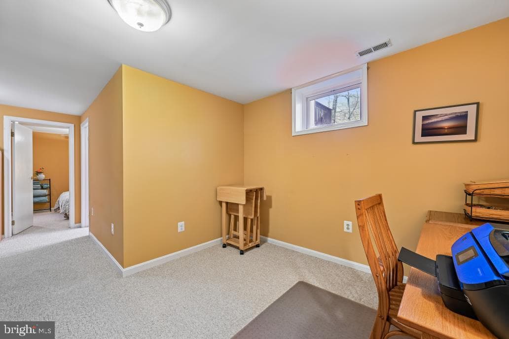 10924 Adare Drive photo 49