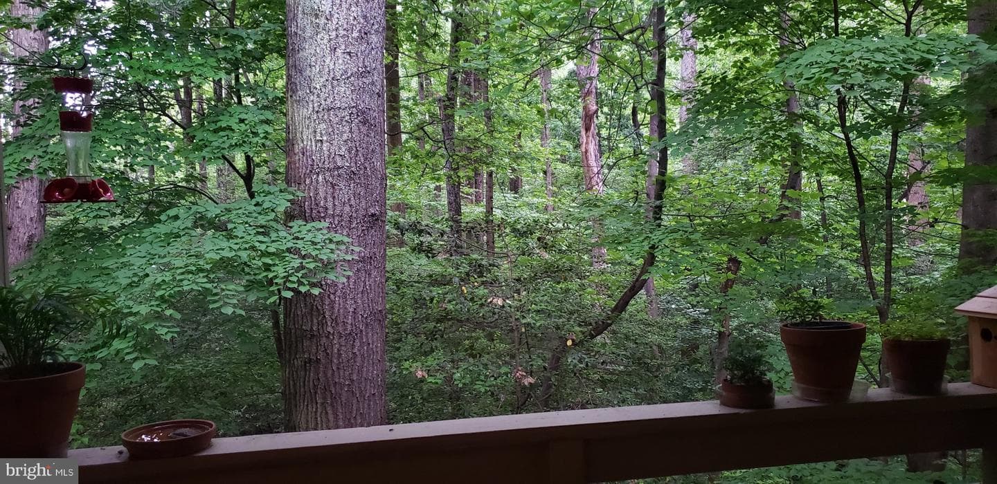 2237 Lovedale Lane #g photo 21