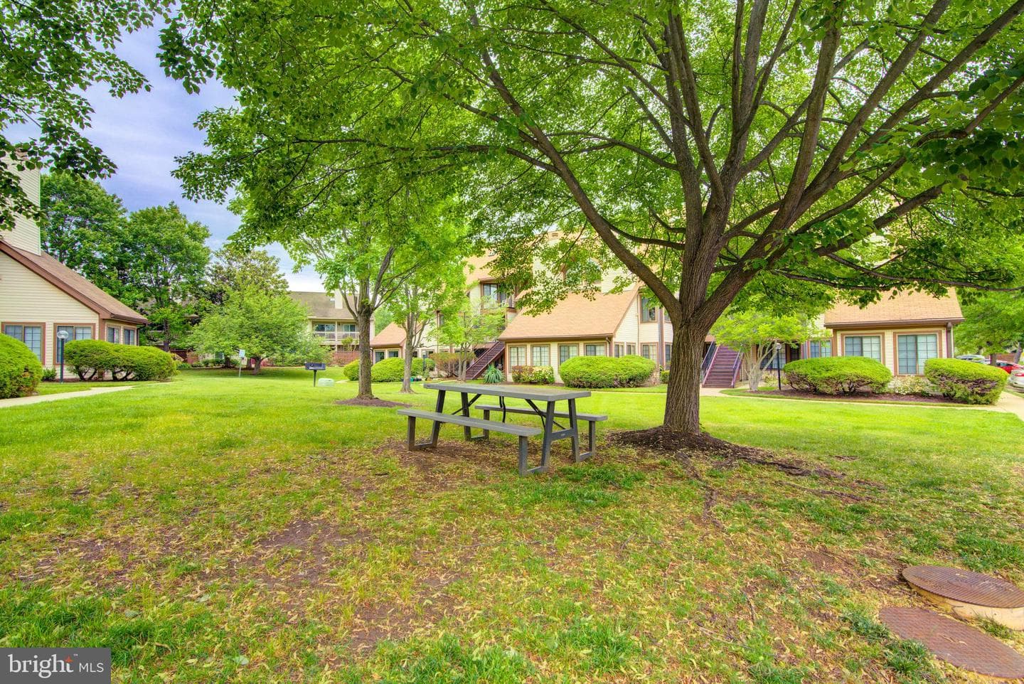 6006 Curtier Drive #d photo 21