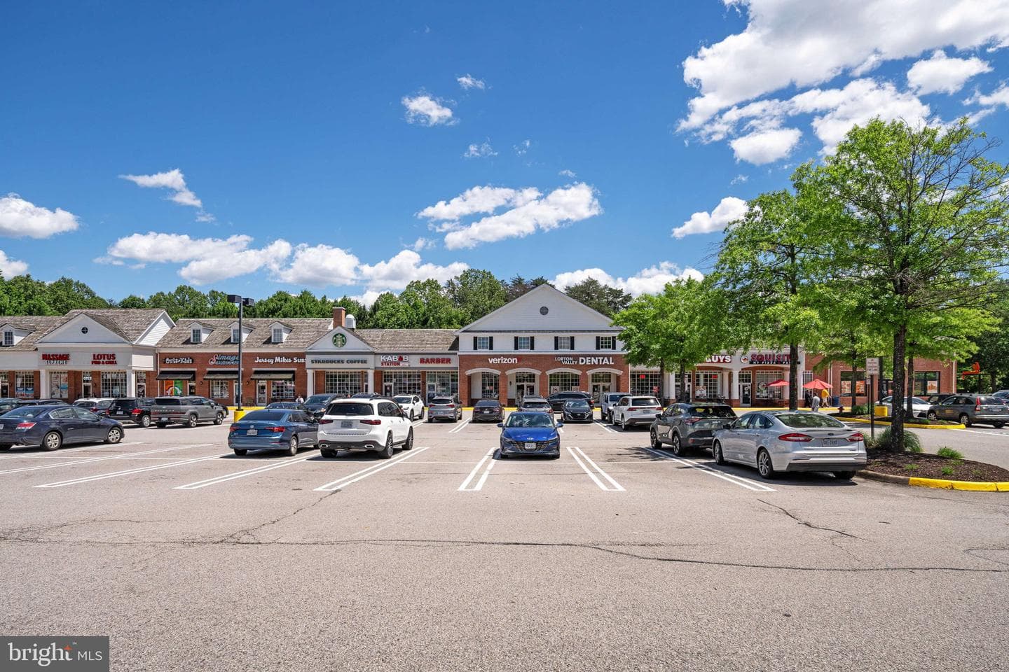 9311 Occoquan Overlook Drive photo 131
