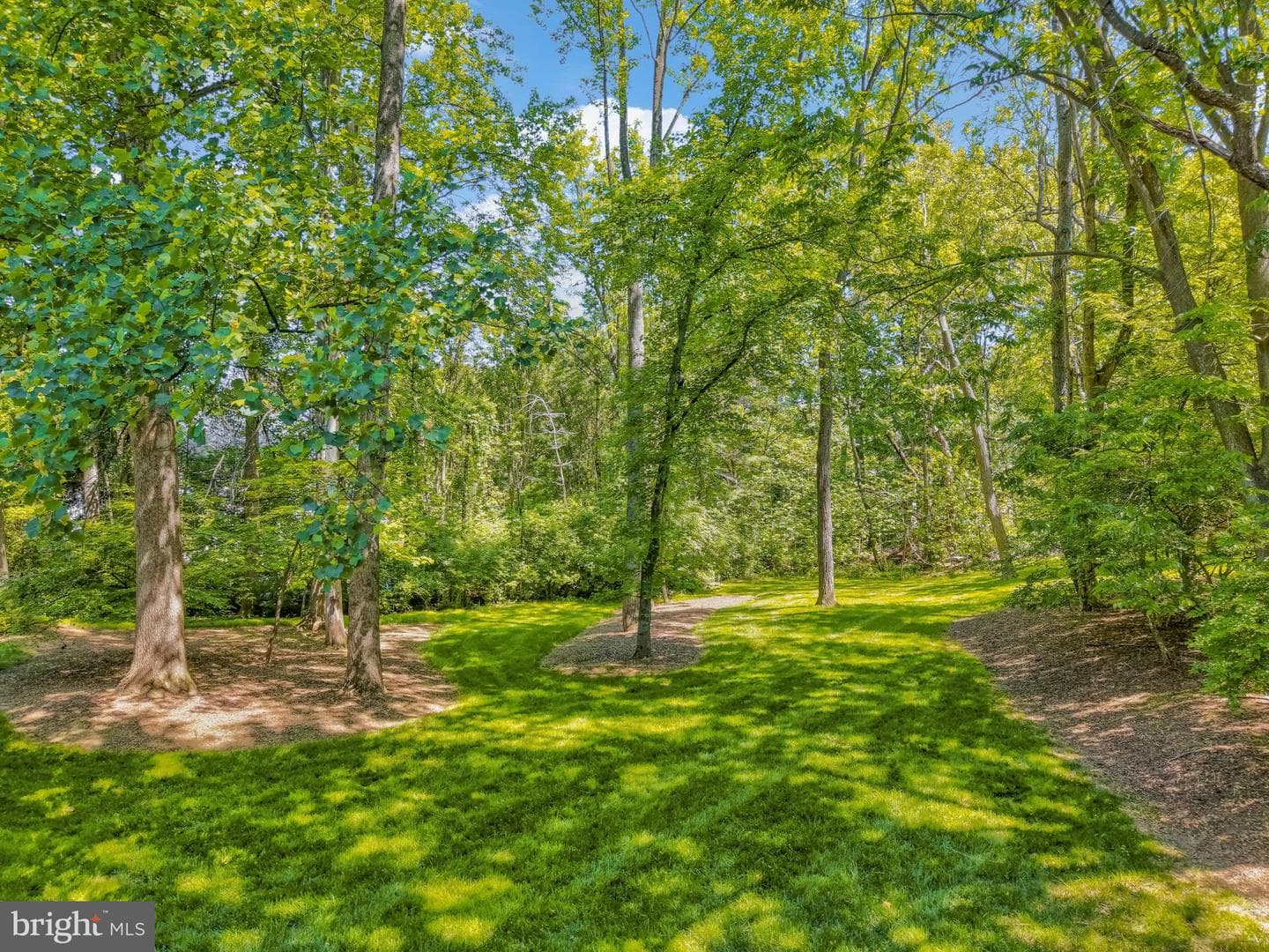 10010 High Hill Place photo 89